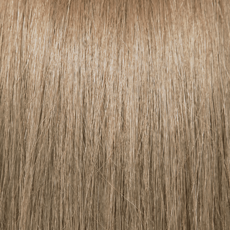Pravana shade – Very Light Blonde at Artistic Trendz Dubai